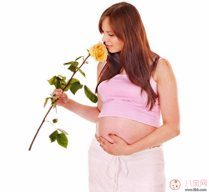 孕期可以插花胎教吗  孕妇什么时候连插花胎教